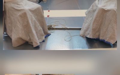 AVES à Martigny et escrime en fauteuil roulant à Sion